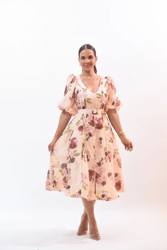 Beautiful And Lovely Dress